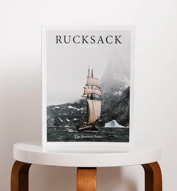 Sustainability Co-Pilot AI assistant for environmental decisions